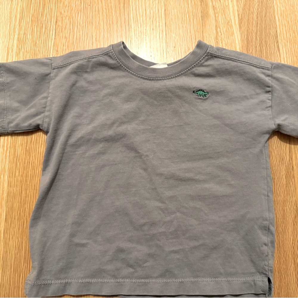 Zara grey dinosaur tshirt.